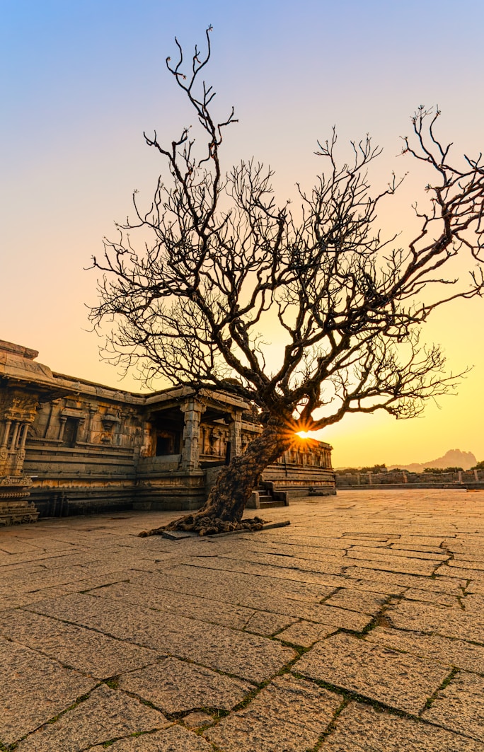 Hampi Stay